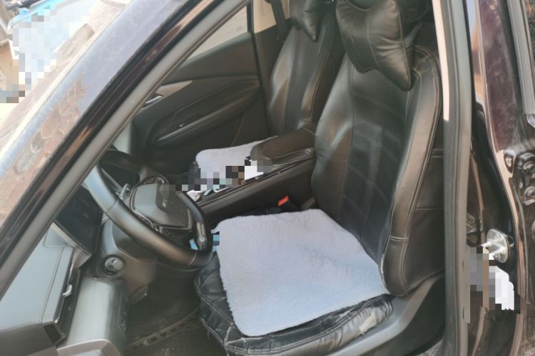 Used Wuling Xingguang 2023 70 Standard Edition Left Front Seat