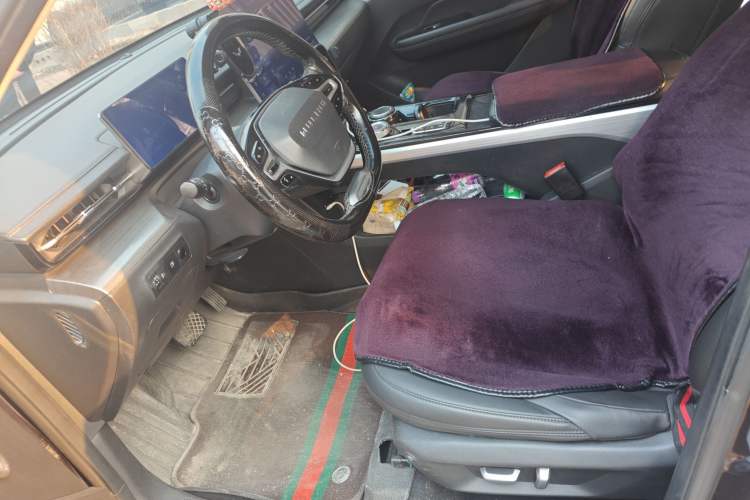 Used Wuling Xingguang 2023 150 Advanced Edition Left Front Seat