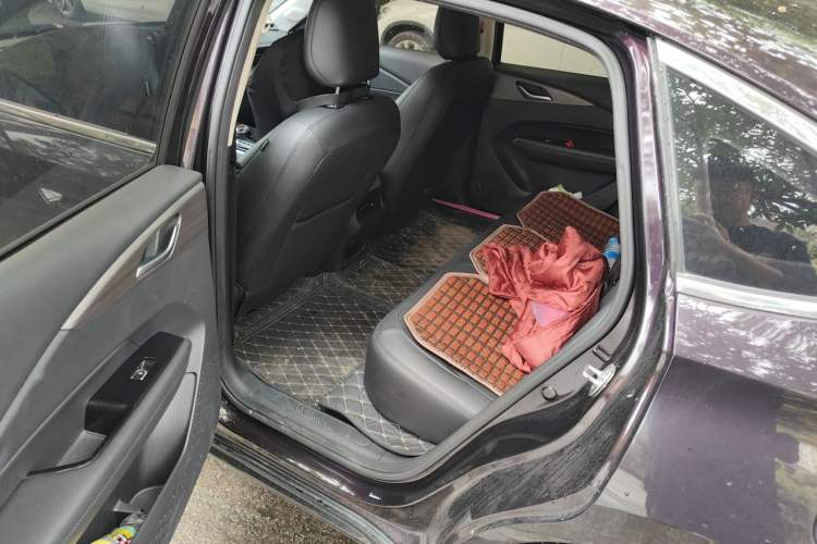 Used Wuling Xingguang 2023 150 Advanced Edition Left Rear Seat