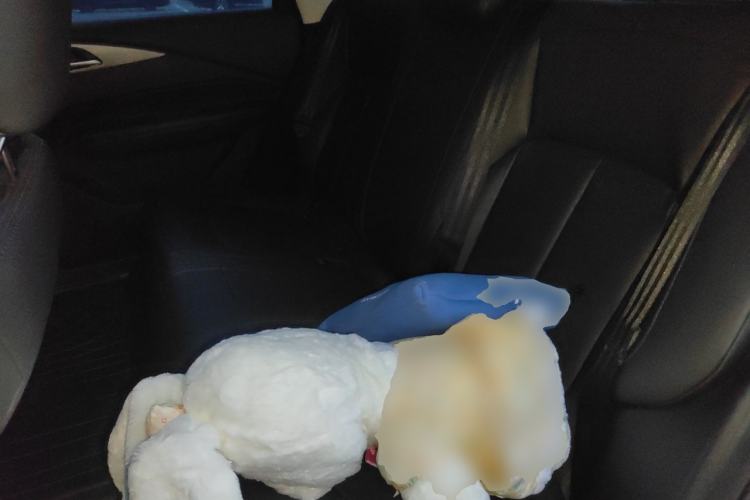 Used Wuling Xingguang 2023 150 Advanced Edition Left Rear Seat
