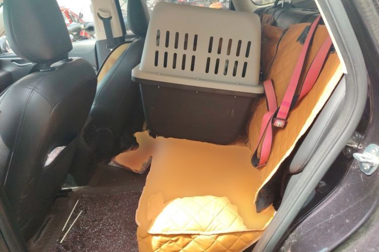 Used Wuling Xingguang 2023 150 Advanced Edition Left Rear Seat