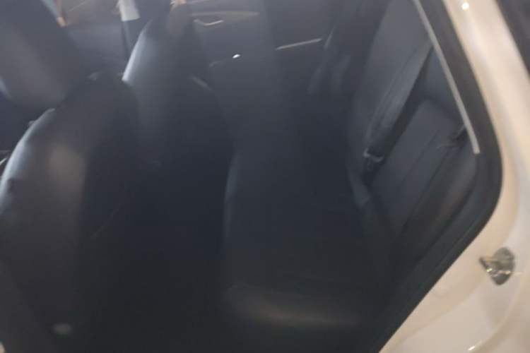 Used Wuling Xingguang 2023 150 Advanced Edition Left Rear Seat