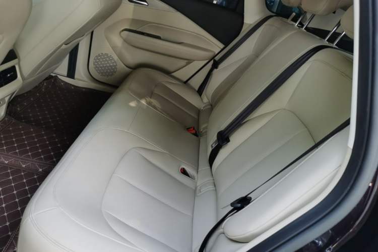 Used Wuling Xingguang 2023 70 Standard Edition Left Rear Seat