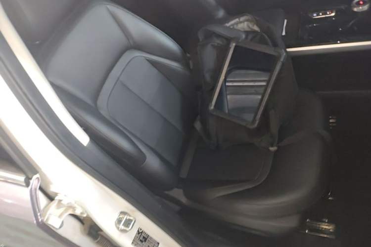 Used Wuling Xingguang 2023 150 Advanced Edition Right Front Seat