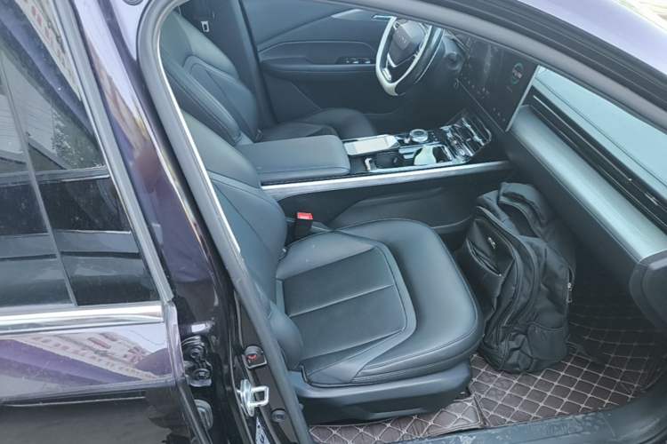 Used Wuling Xingguang 2023 150 Advanced Edition Right Front Seat