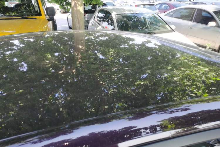 Used Wuling Xingguang 2023 70 Standard Edition Roof