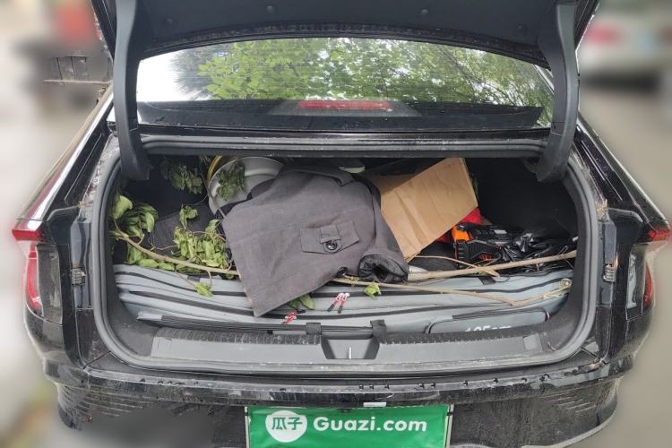 Used Wuling Xingguang 2023 150 Advanced Edition Trunk