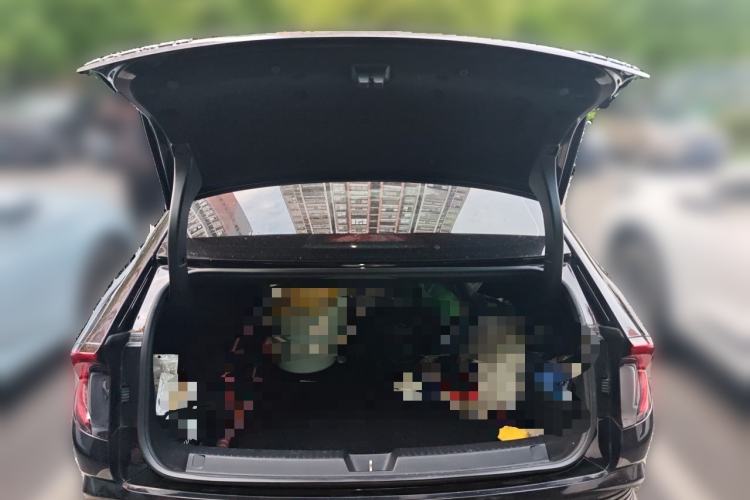Used Wuling Xingguang 2023 150 Advanced Edition Trunk