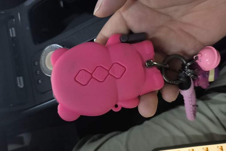 Used Wuling Xingguang 2023 150 Advanced Edition Vehicle Key