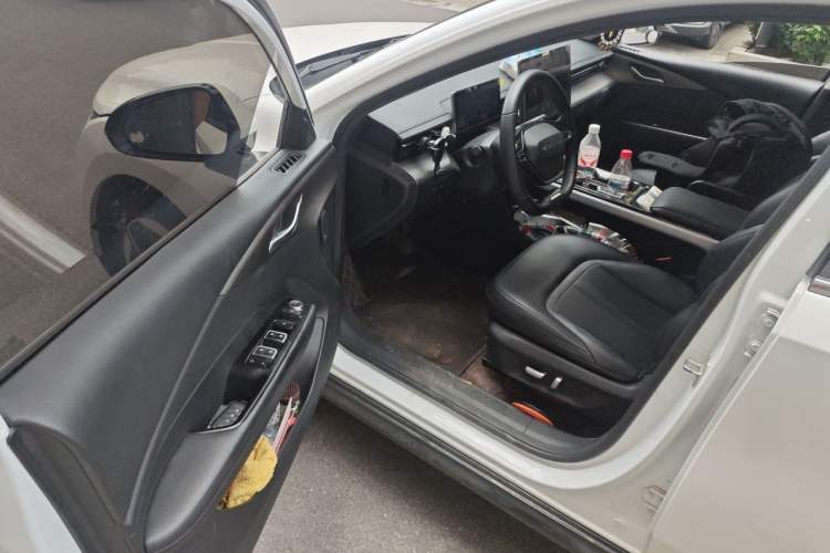 Used Wuling Xingguang 2023 150 Advanced Edition Driver Seat