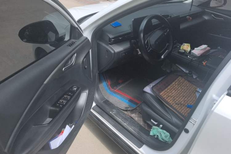Used Wuling Xingguang 2023 70 Standard Edition Driver Seat