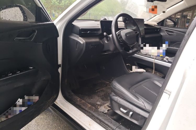 Used Wuling Xingguang 2023 150 Advanced Edition Driver Seat