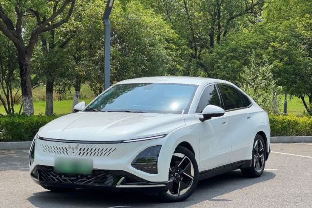 Used Wuling Xingguang 2023 150 Advanced Edition