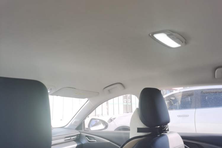 Used Wuling Xingguang 2023 150 Advanced Edition Headliner