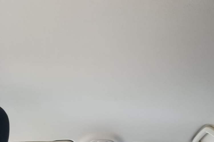 Used Wuling Xingguang 2023 150 Advanced Edition Headliner