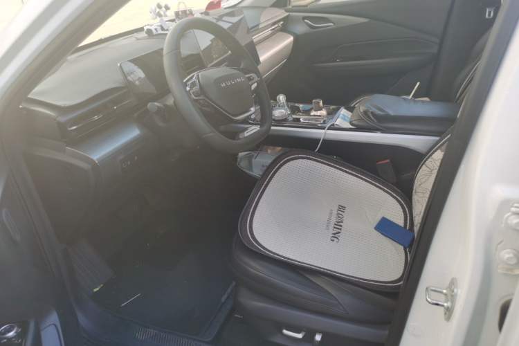 Used Wuling Xingguang 2023 150 Advanced Edition Left Front Seat