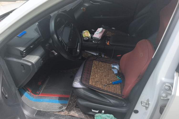 Used Wuling Xingguang 2023 70 Standard Edition Left Front Seat