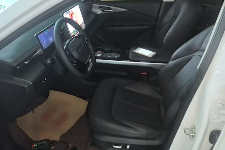 Used Wuling Xingguang 2023 150 Advanced Edition Left Front Seat
