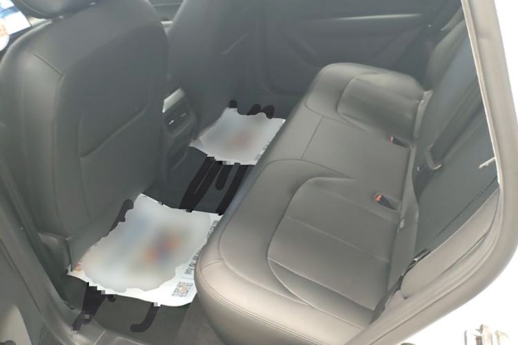 Used Wuling Xingguang 2023 150 Advanced Edition Left Rear Seat