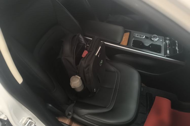 Used Wuling Xingguang 2023 150 Advanced Edition Right Front Seat