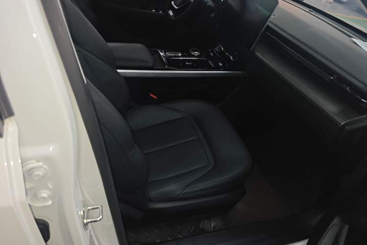 Used Wuling Xingguang 2023 150 Advanced Edition Right Front Seat