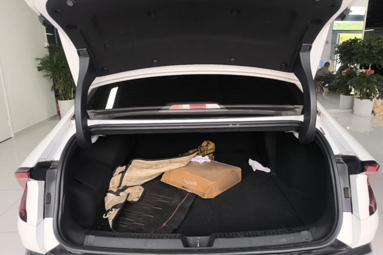 Used Wuling Xingguang 2023 150 Advanced Edition Trunk