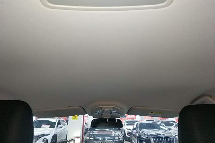 Used Wuling Xingguang 2024 Co-Creation Edition 510 Advanced Model Headliner