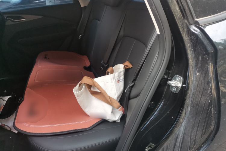 Used Wuling Xingguang 2024 Co-Creation Edition 70 Standard Model Left Rear Seat