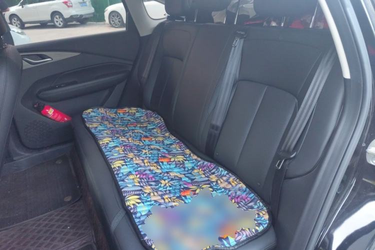 Used Wuling Xingguang 2024 Co-Creation Edition 150 Flagship Model Left Rear Seat