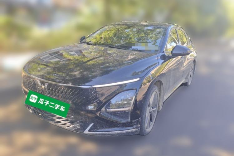 Wuling Xingguang 2024 Co-creation Edition 150 Standard Model