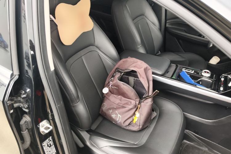 Used Wuling Xingguang 2024 Co-Creation Edition 150 Flagship Model Right Front Seat