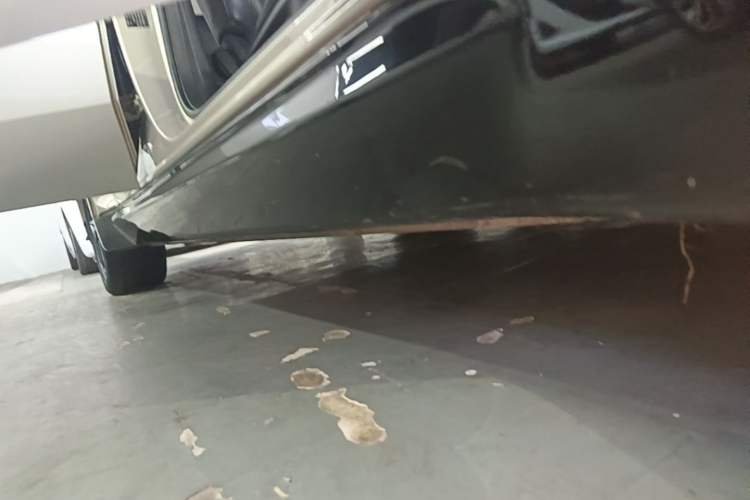 Used Wuling Xingguang 2024 Co-Creation Edition 510 Advanced Model Right Side Sill