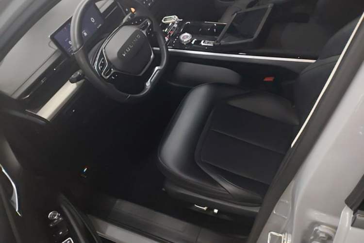 Used Wuling Xingguang 2024 Co-Creation Edition 510 Advanced Model Left Front Seat