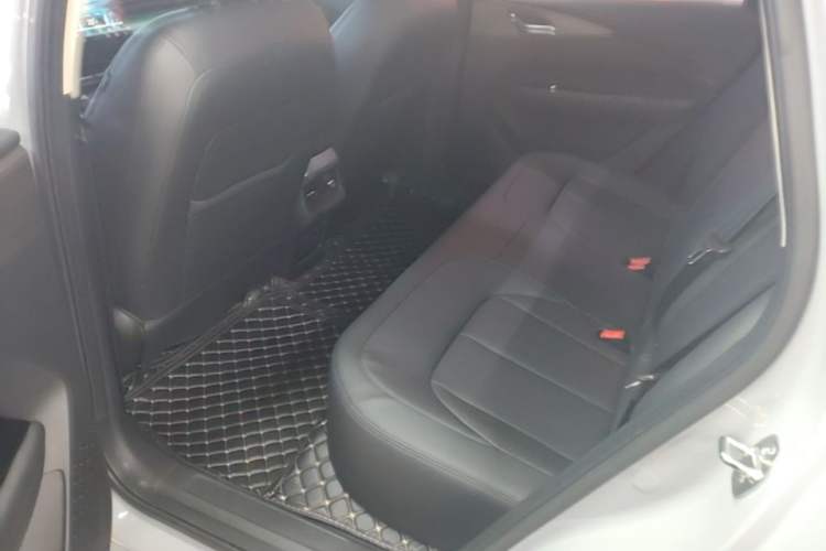 Used Wuling Xingguang 2024 Co-Creation Edition 510 Advanced Model Left Rear Seat