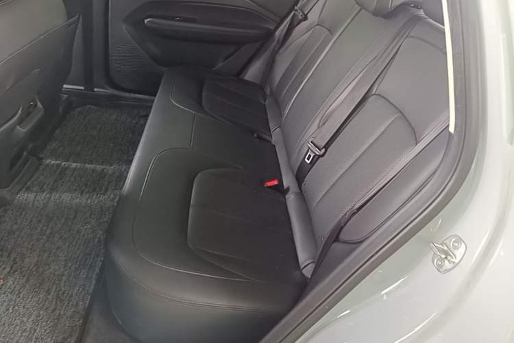 Used Wuling Xingguang 2024 Co-Creation Edition 510 Advanced Model Left Rear Seat
