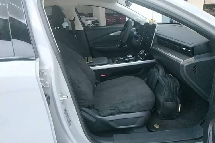Used Wuling Xingguang 2024 Co-Creation Edition 510 Advanced Model Right Front Seat