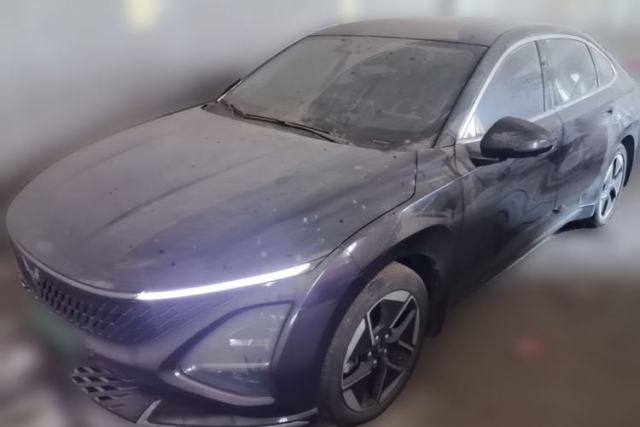 Used Wuling Xingguang 2024 Co-Creation Edition 150 Flagship Model