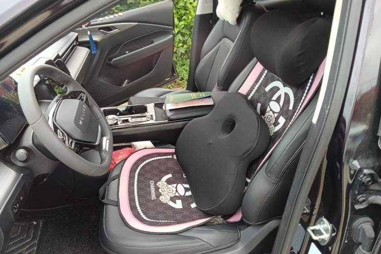 Used Wuling Xingguang 2024 Co-creation Edition 150 Standard Model Left Front Seat