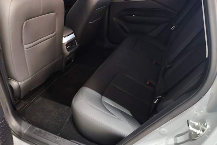 Used Wuling Xingguang 2024 Co-Creation Edition 510 Advanced Model Left Rear Seat