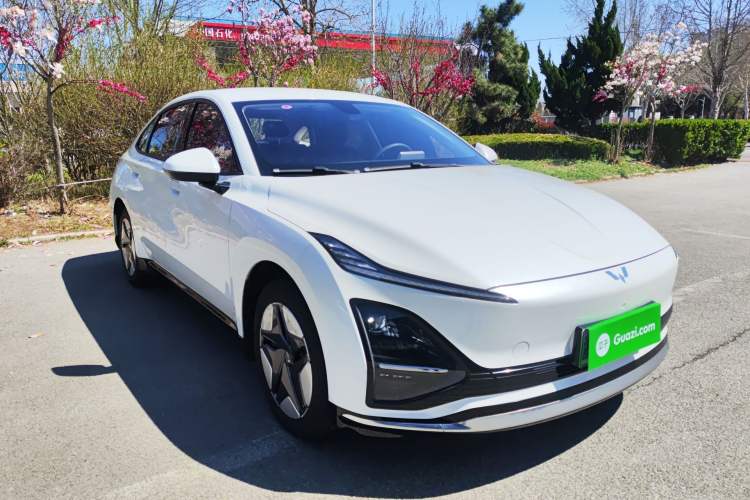 Used Wuling Xingguang 2024 Co-Creation Edition 410 Standard Model Exterior 1