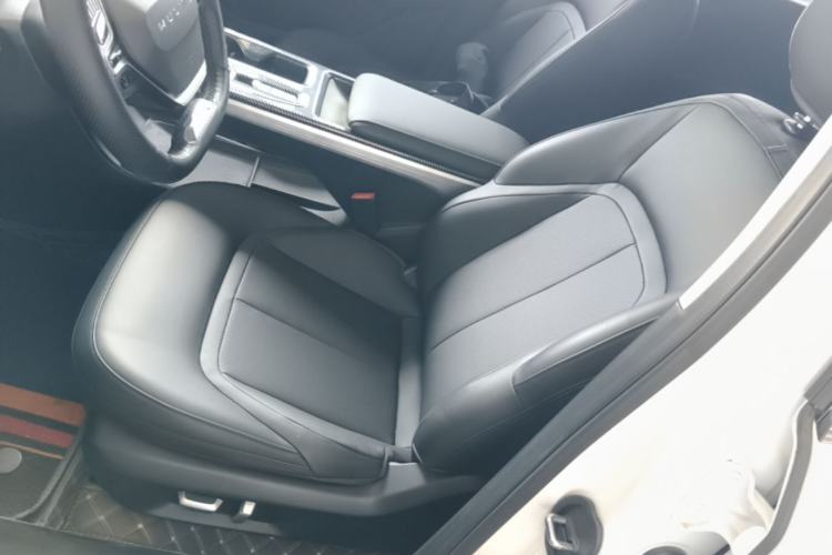 Used Wuling Xingguang 2024 Co-Creation Edition 150 Flagship Model Left Front Seat