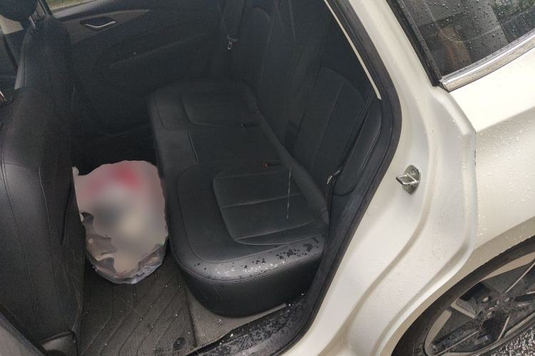 Used Wuling Xingguang 2024 Co-Creation Edition 510 Advanced Model Left Front Seat