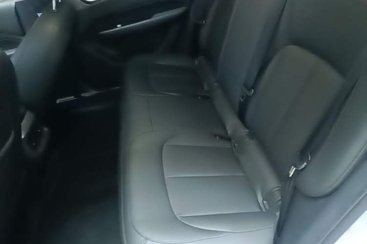 Used Wuling Xingguang 2024 Co-Creation Edition 510 Advanced Model Left Rear Seat