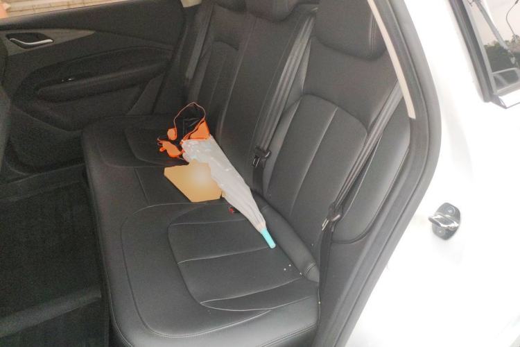 Used Wuling Xingguang 2024 Co-Creation Edition 510 Advanced Model Left Rear Seat