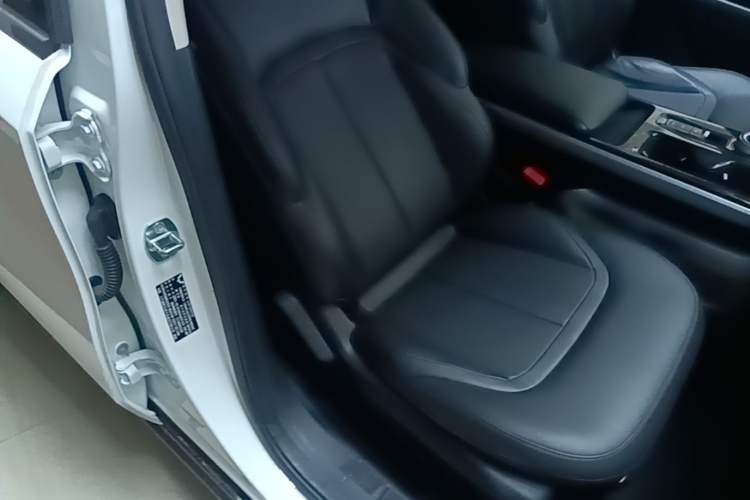 Used Wuling Xingguang 2024 Co-Creation Edition 510 Advanced Model Right Front Seat