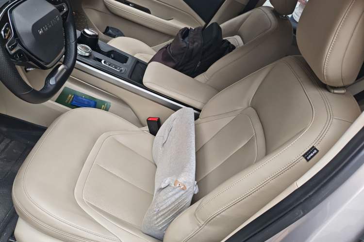 Used Wuling Xingguang 2024 Co-Creation Edition 510 Advanced Model Left Front Seat