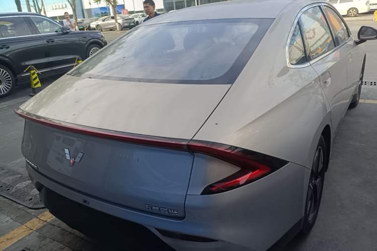 Used Wuling Xingguang 2024 Co-Creation Edition 510 Advanced Model Rear