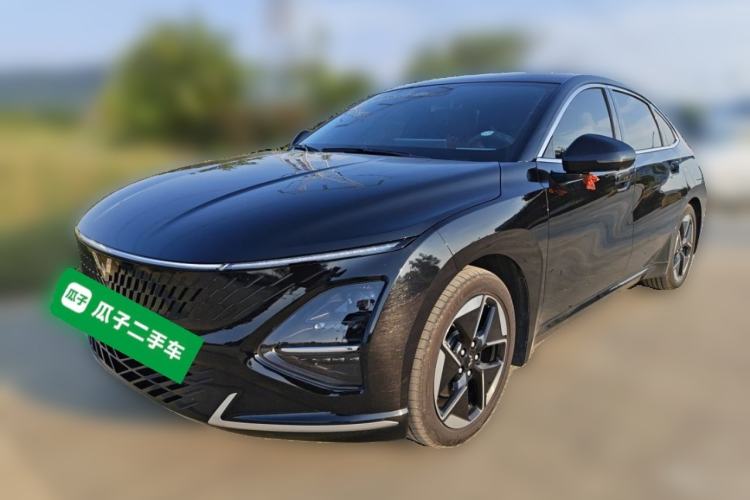 Wuling Xingguang 2025 150 km Smart Pilot Version