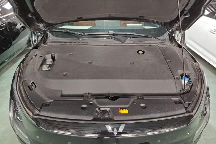 Used Wuling Xingguang 2025 610 km Smart Flagship Version Engine Bay