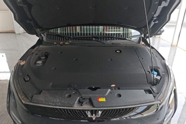 Used Wuling Xingguang 2025 610 km Smart Flagship Version Engine Bay